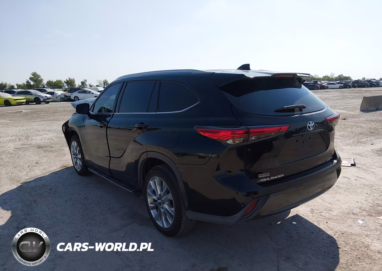 2020 Toyota Highlander Limited VIN:5TDYZRAH0LS009784 - 3