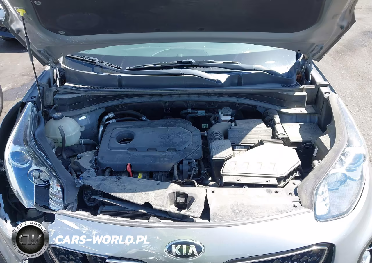 2019 Kia Sportage Lx VIN:KNDPMCAC2K7584246 - 10