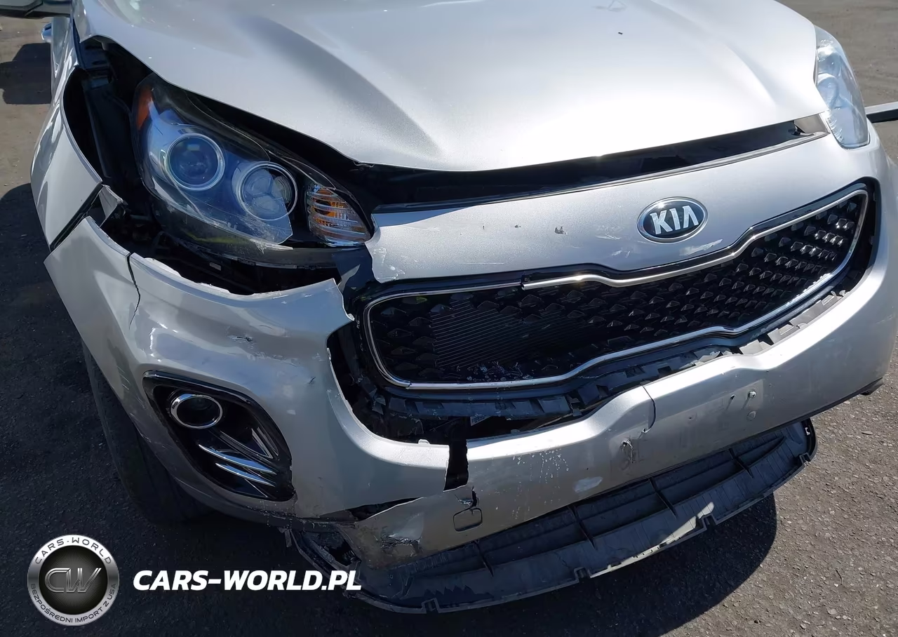 2019 Kia Sportage Lx VIN:KNDPMCAC2K7584246 - 12