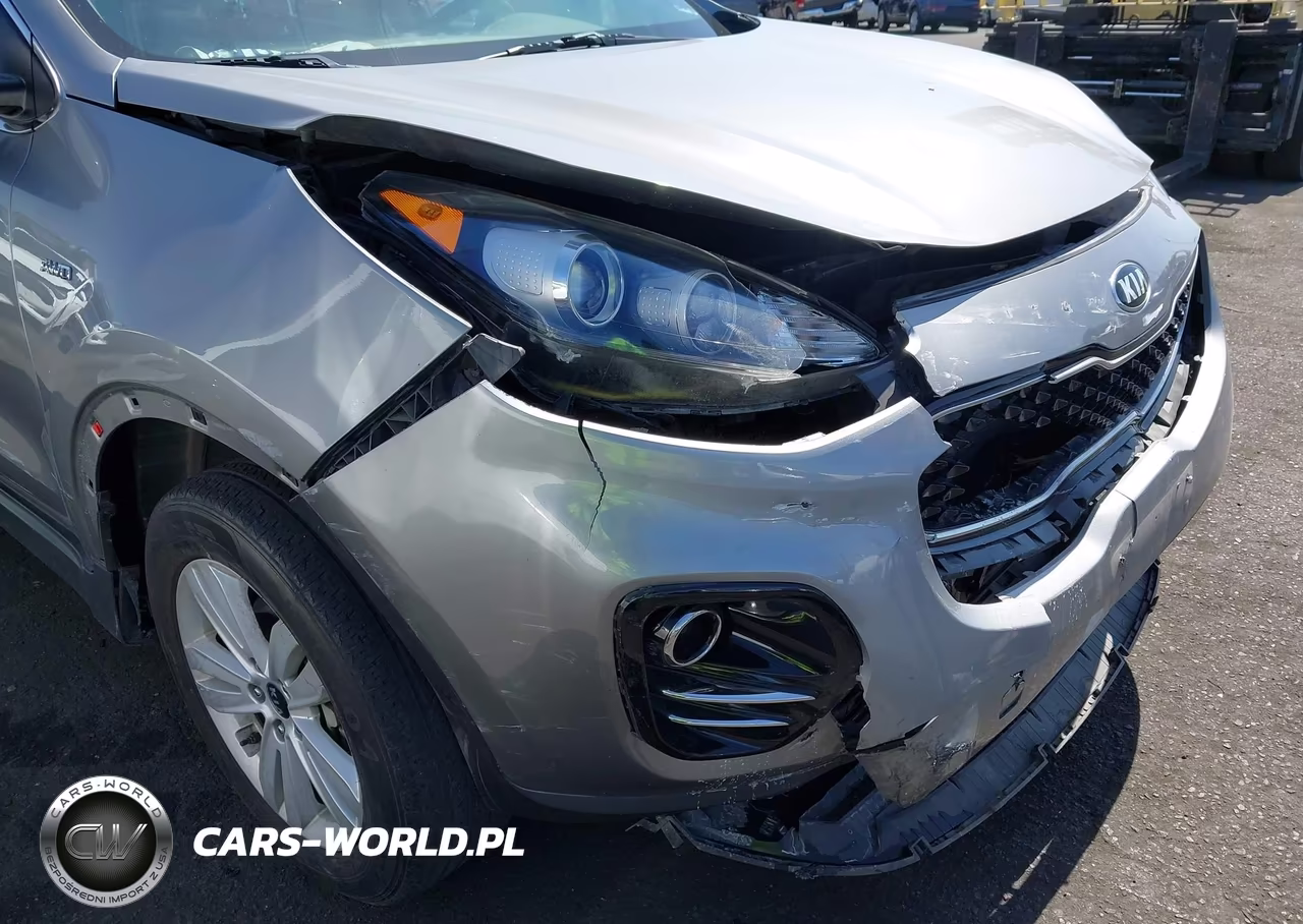 2019 Kia Sportage Lx VIN:KNDPMCAC2K7584246 - 6