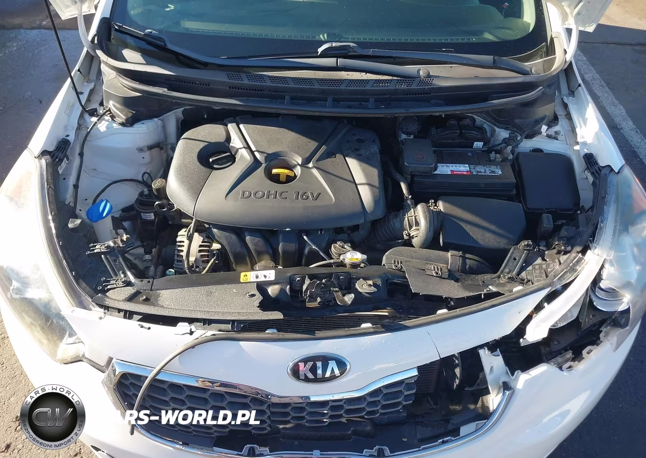 2016 Kia Forte Lx VIN:KNAFK4A67G5614455 - 10