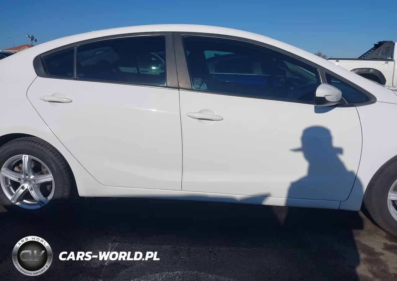 2016 Kia Forte Lx VIN:KNAFK4A67G5614455 - 13