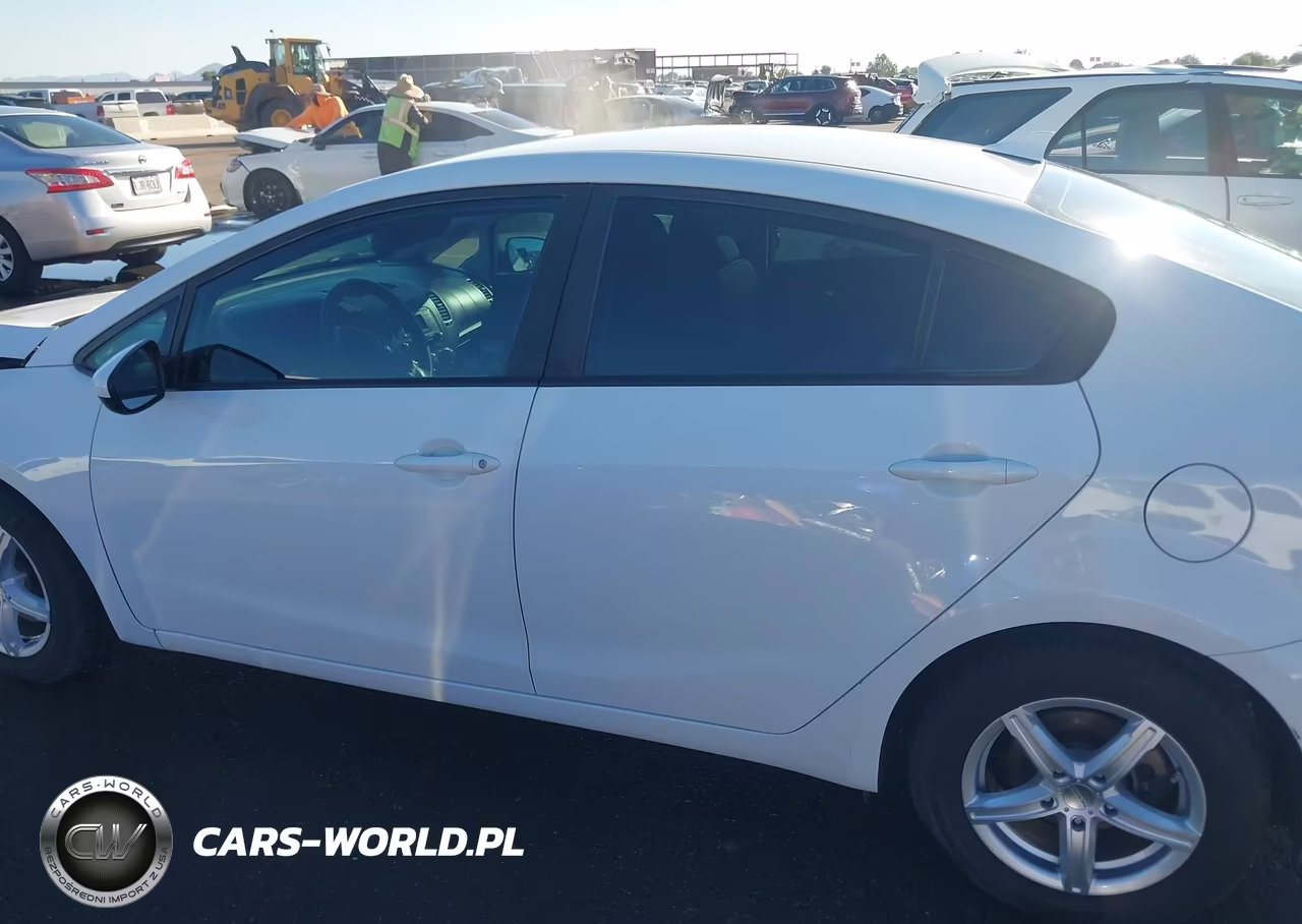 2016 Kia Forte Lx VIN:KNAFK4A67G5614455 - 14