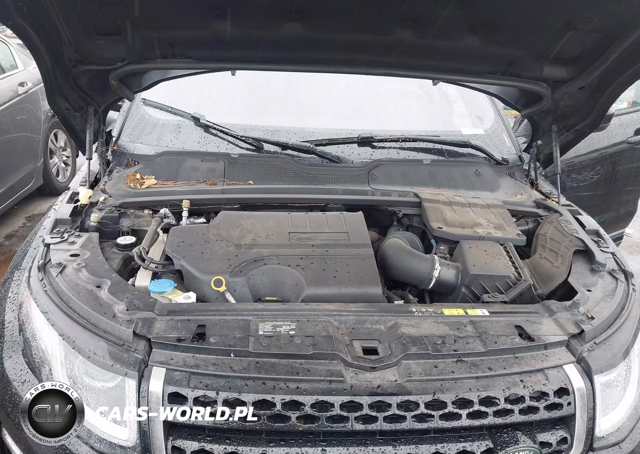 2019 Land Rover Range Rover Evoque Se-Se Premium VIN:SALVP2RX5KH328704 - 10