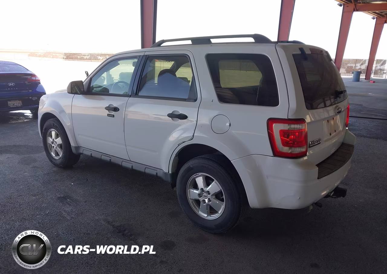 2010 Ford Escape Xlt VIN:1FMCU0DG1AKA36001 - 3