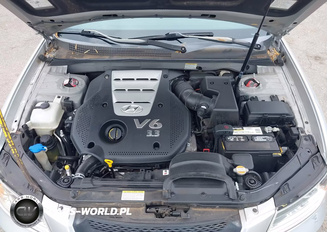 2006 Hyundai Sonata Gls V6-Lx V6 VIN:5NPEU46F16H022257 - 10