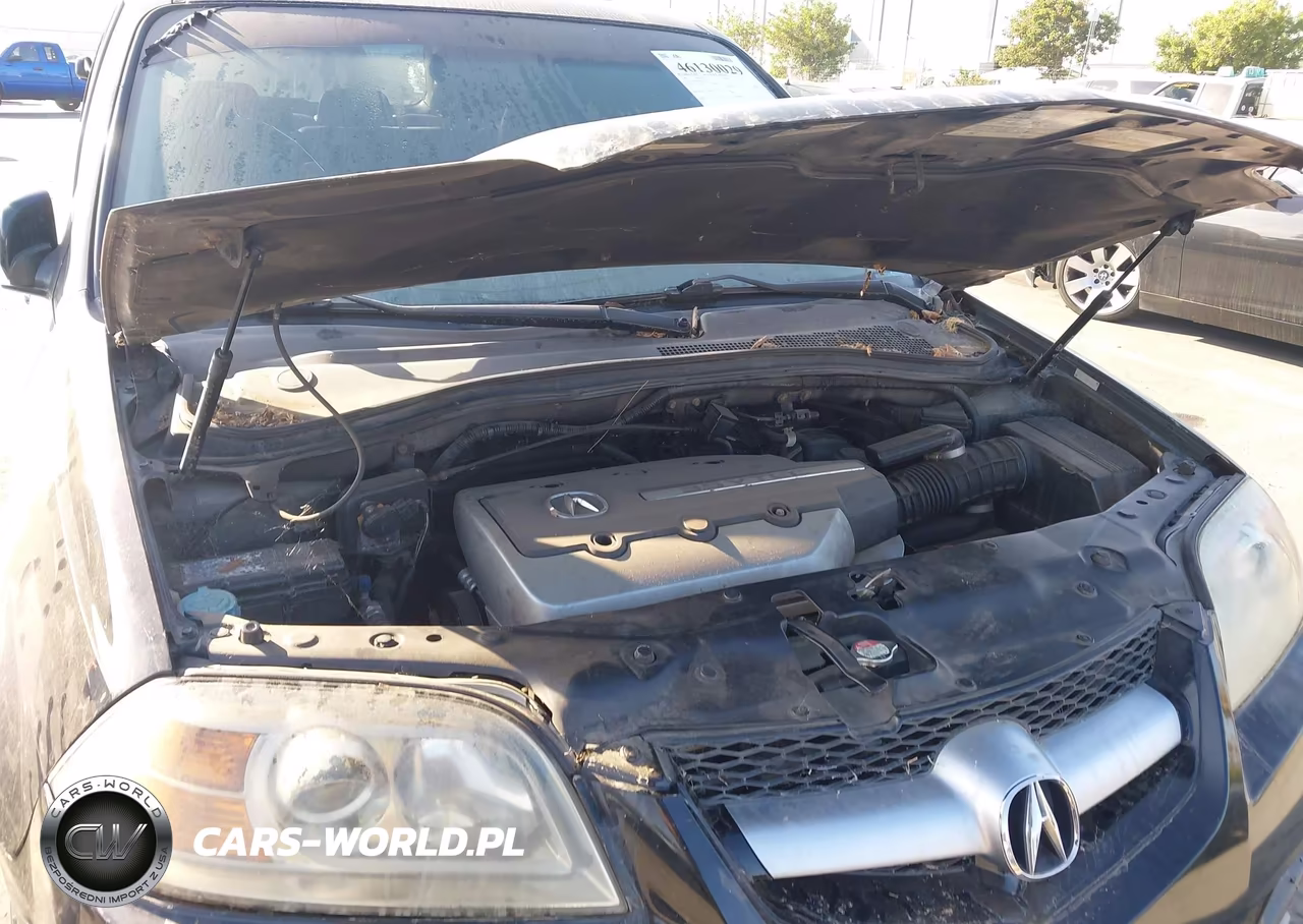 2005 Acura Mdx VIN:2HNYD18645H512931 - 10
