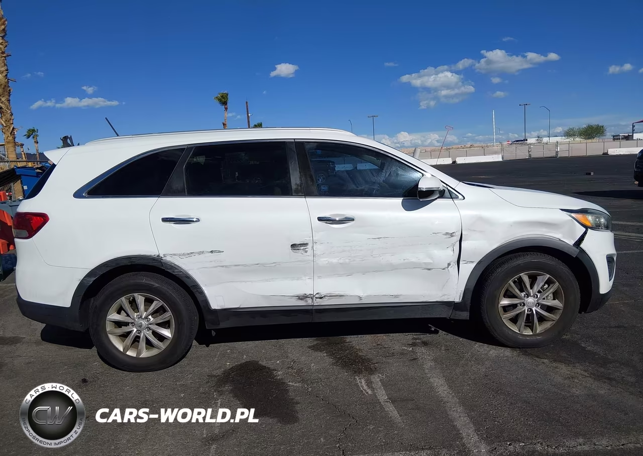 2017 Kia Sorento 2.4L Lx VIN:5XYPG4A3XHG279683 - 13