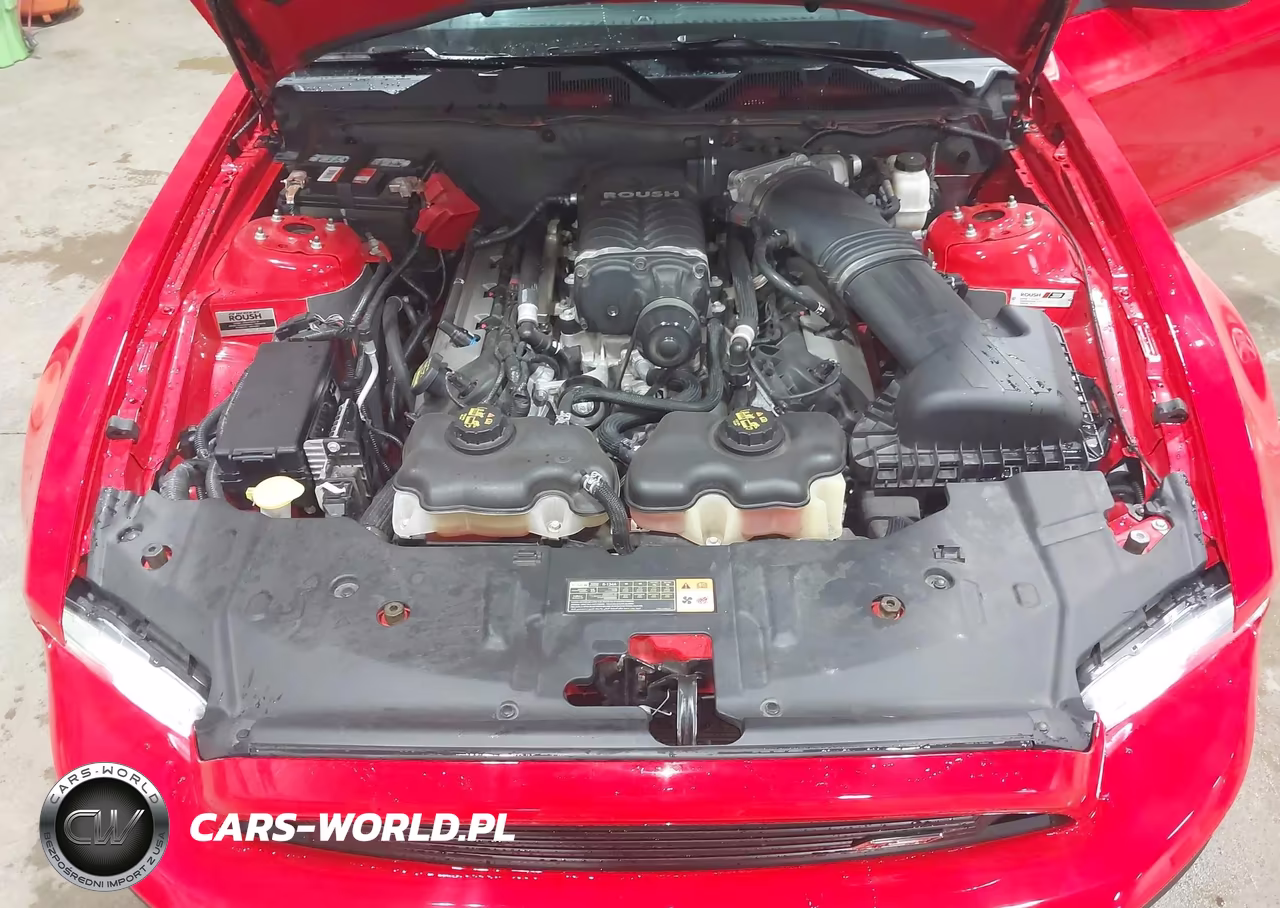 2014 Ford Mustang Gt Premium VIN:1ZVBP8CF0E5279573 - 10