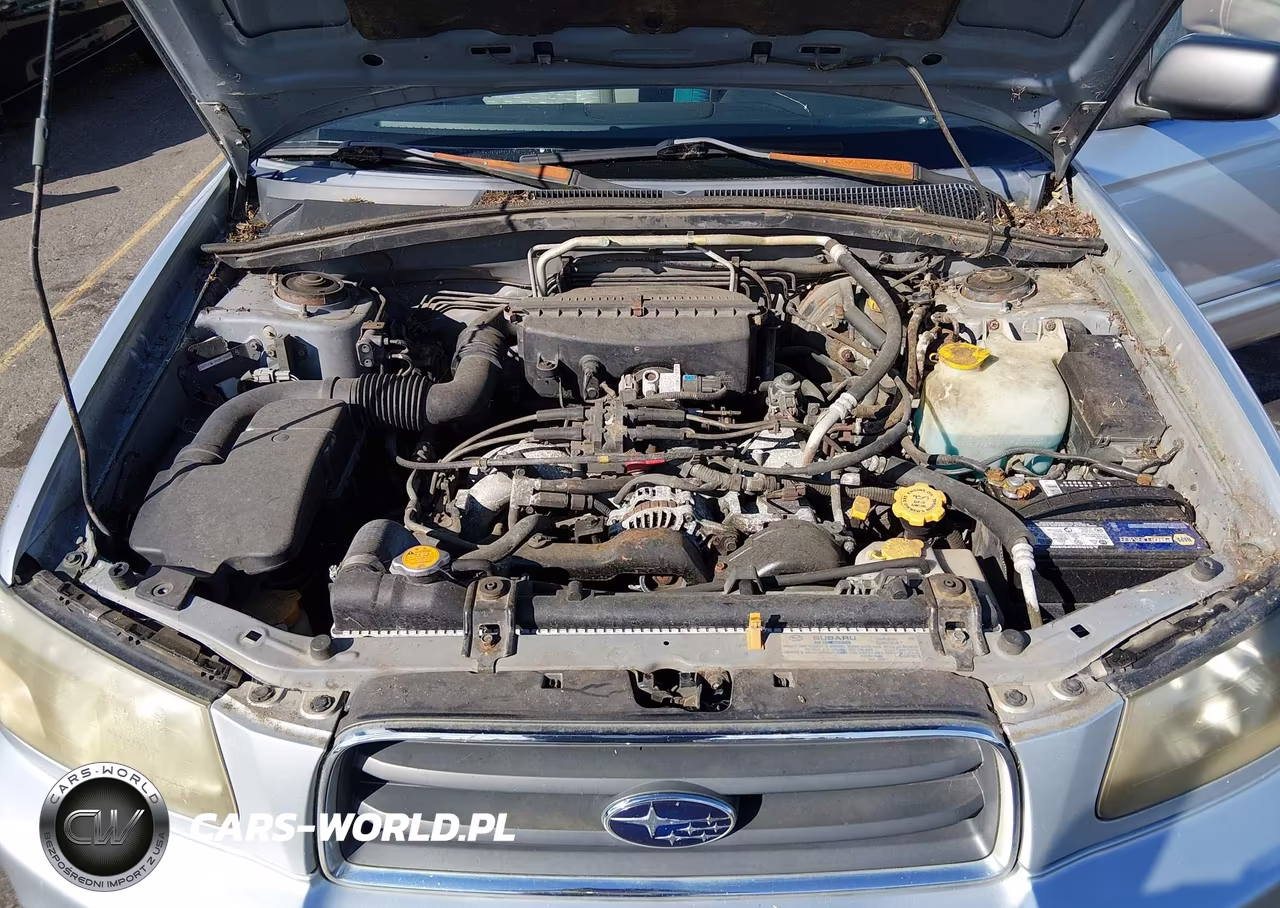 2004 Subaru Forester 2.5Xs VIN:JF1SG65674H741022 - 10