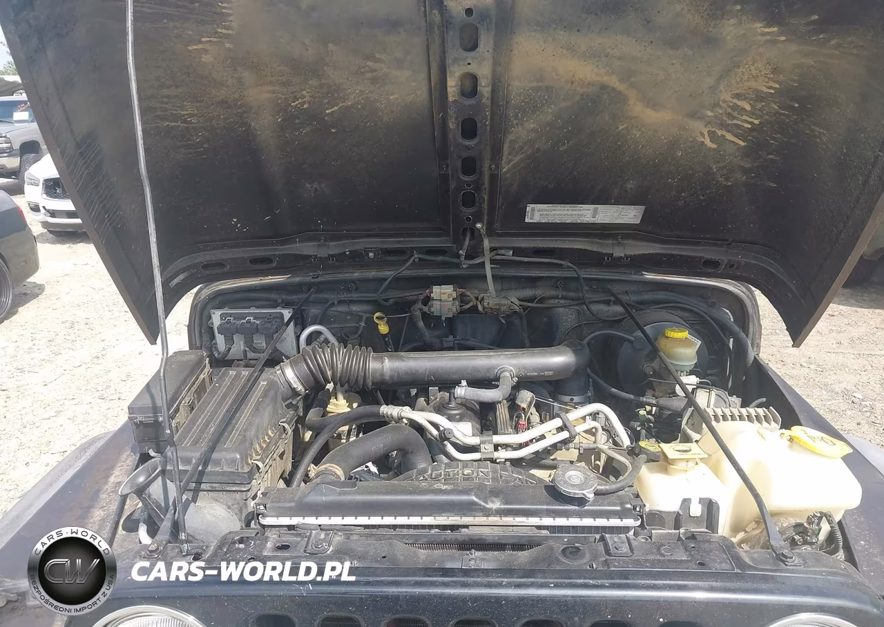 2003 Jeep Wrangler X VIN:1J4FA39S53P346788 - 10