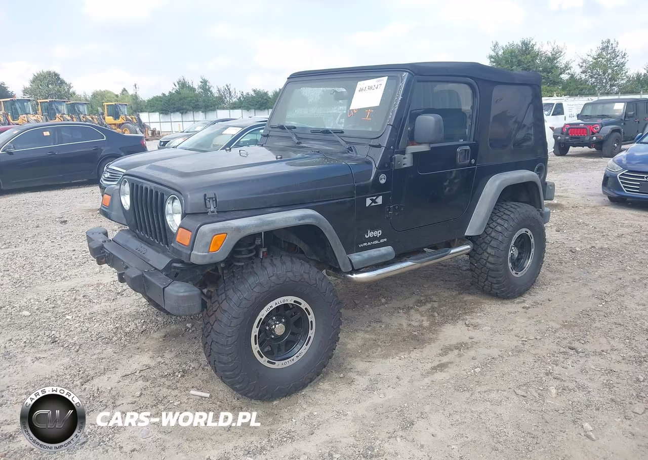 2003 Jeep Wrangler X VIN:1J4FA39S53P346788 - 2