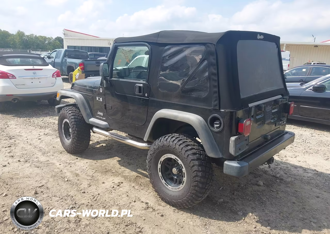 2003 Jeep Wrangler X VIN:1J4FA39S53P346788 - 3