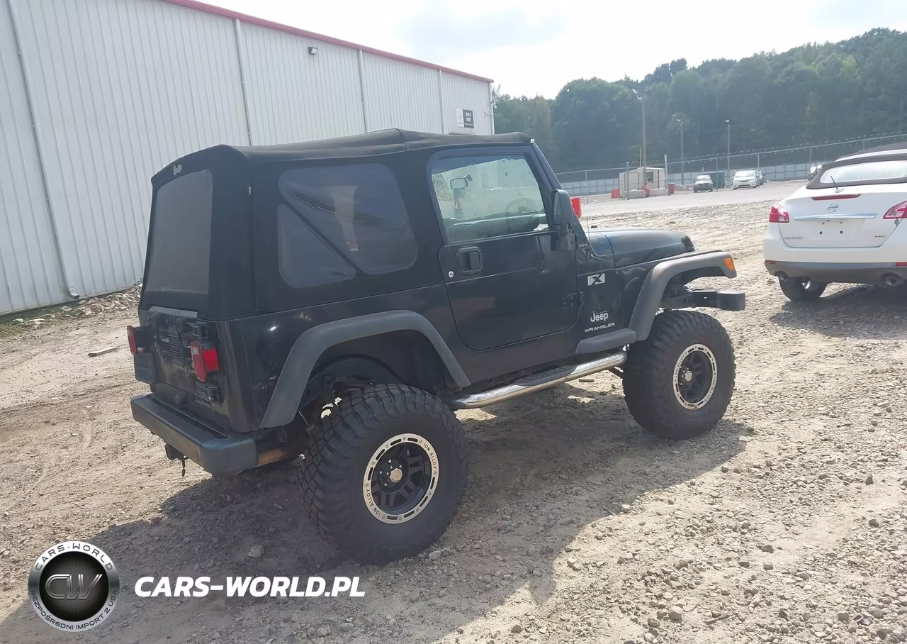2003 Jeep Wrangler X VIN:1J4FA39S53P346788 - 4