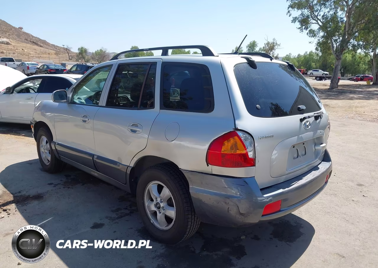 2005 Hyundai Santa Fe Gls VIN:KM8SC73D95U974627 - 3