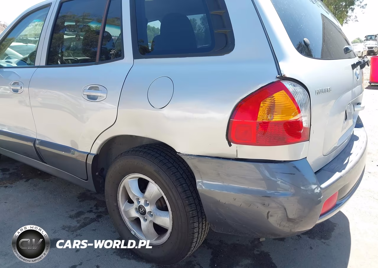 2005 Hyundai Santa Fe Gls VIN:KM8SC73D95U974627 - 6