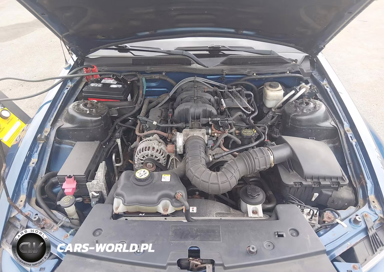 2008 Ford Mustang V6 Deluxe-V6 Premium VIN:1ZVHT84N185204980 - 10