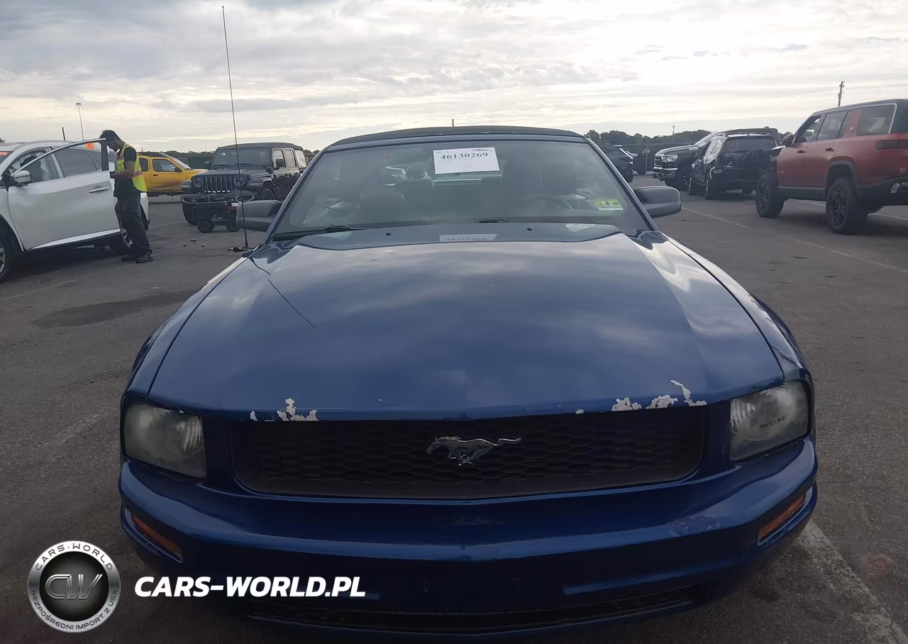 2008 Ford Mustang V6 Deluxe-V6 Premium VIN:1ZVHT84N185204980 - 12