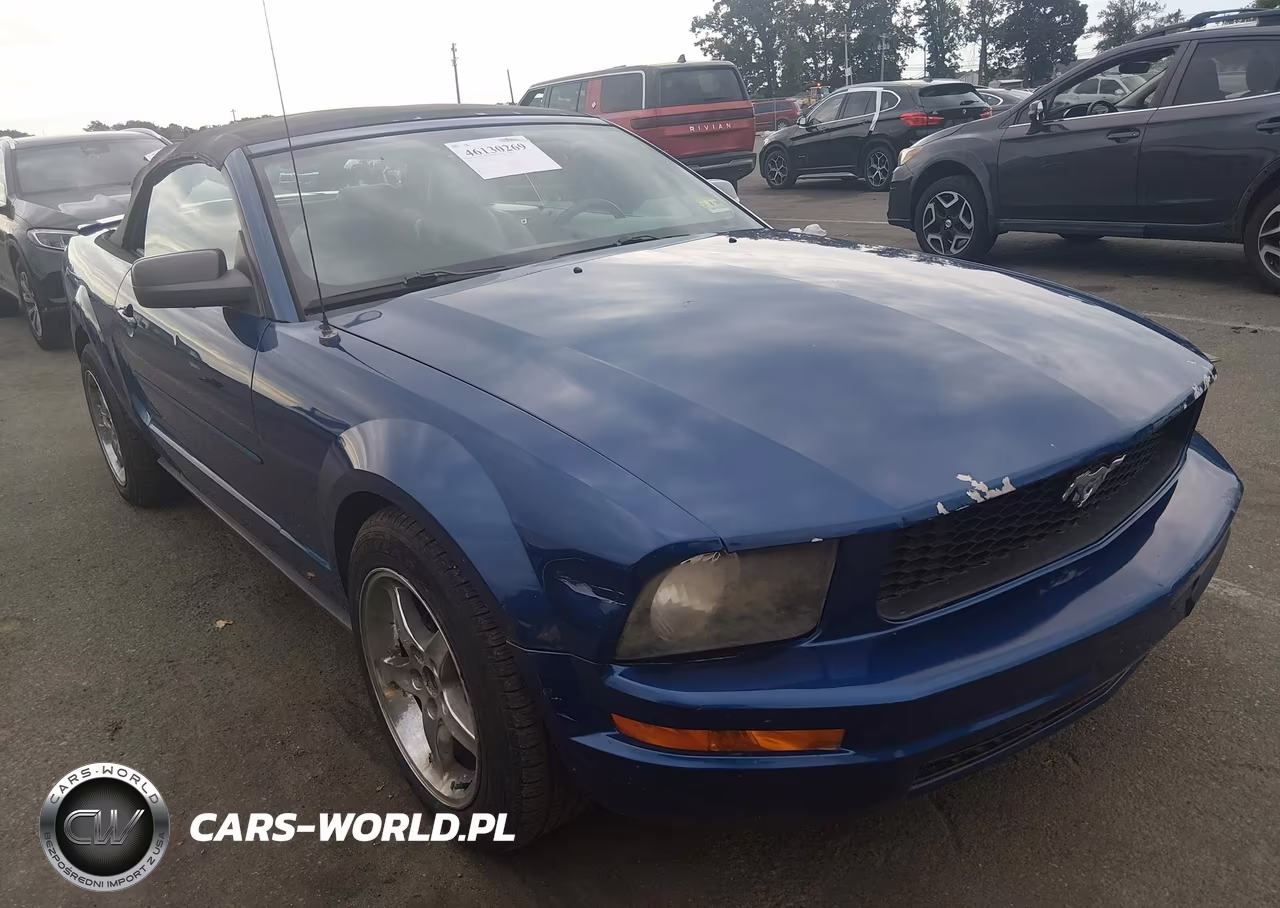 2008 Ford Mustang V6 Deluxe-V6 Premium VIN:1ZVHT84N185204980 - 13