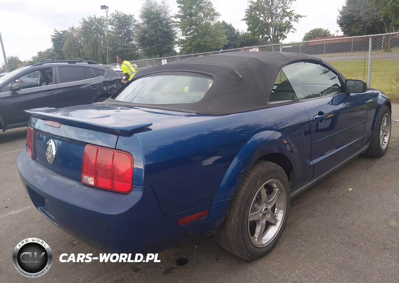 2008 Ford Mustang V6 Deluxe-V6 Premium VIN:1ZVHT84N185204980 - 14