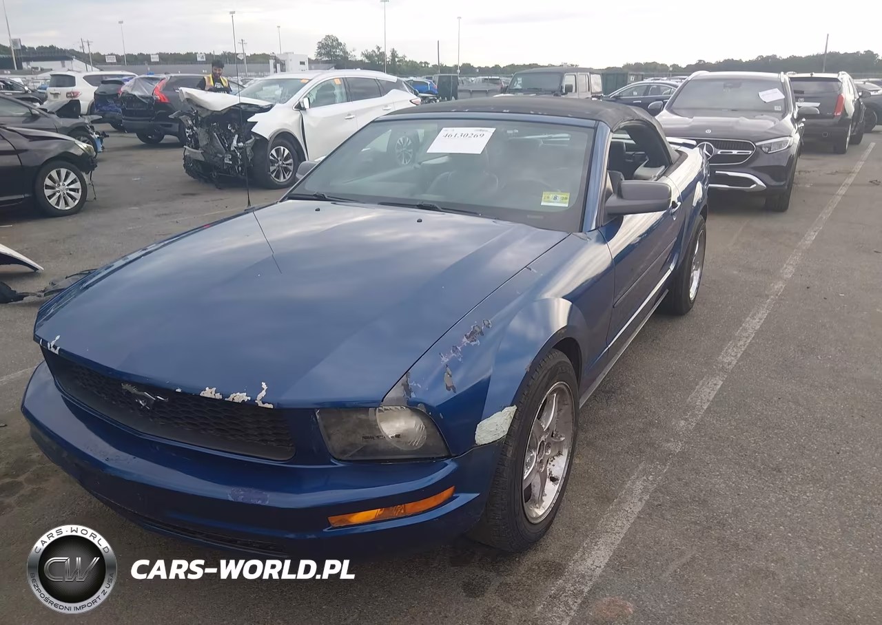 2008 Ford Mustang V6 Deluxe-V6 Premium VIN:1ZVHT84N185204980 - 2