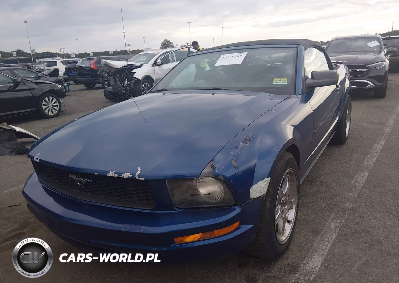 2008 Ford Mustang V6 Deluxe-V6 Premium VIN:1ZVHT84N185204980 - 6