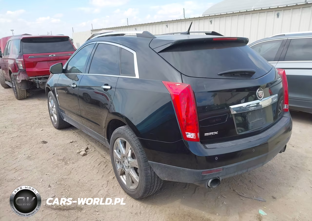 2010 Cadillac Srx Premium Collection VIN:3GYFNCEY9AS609099 - 3