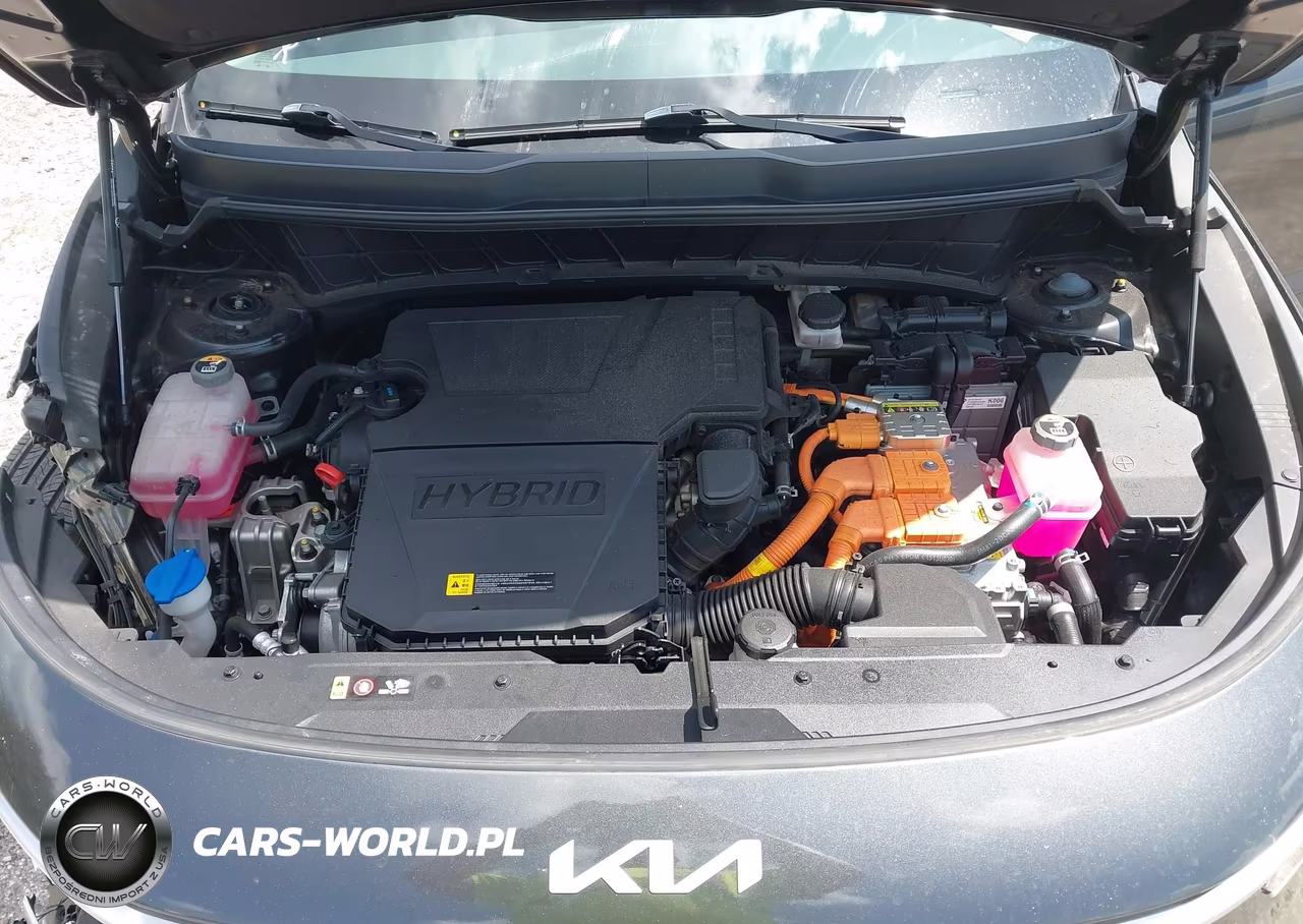 2023 Kia Niro Lx VIN:KNDCP3LEXP5097996 - 10