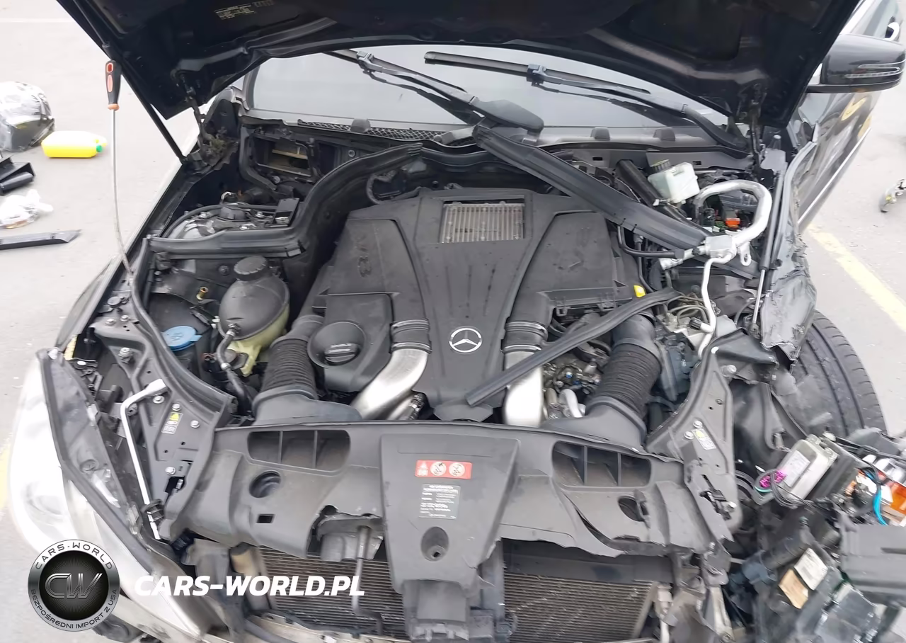 2013 Mercedes-Benz E 550 VIN:WDDKJ7DB1DF204096 - 10