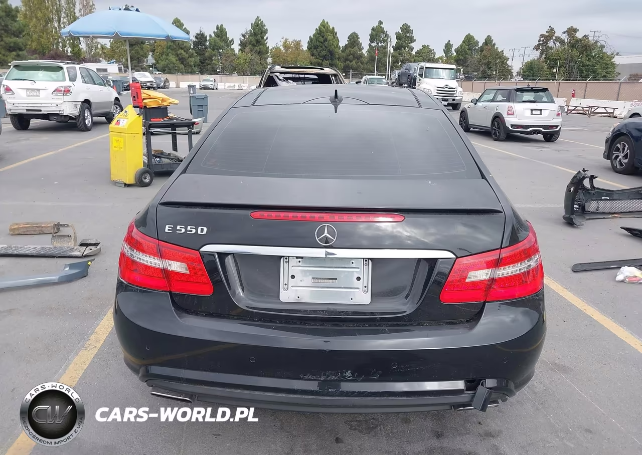 2013 Mercedes-Benz E 550 VIN:WDDKJ7DB1DF204096 - 17