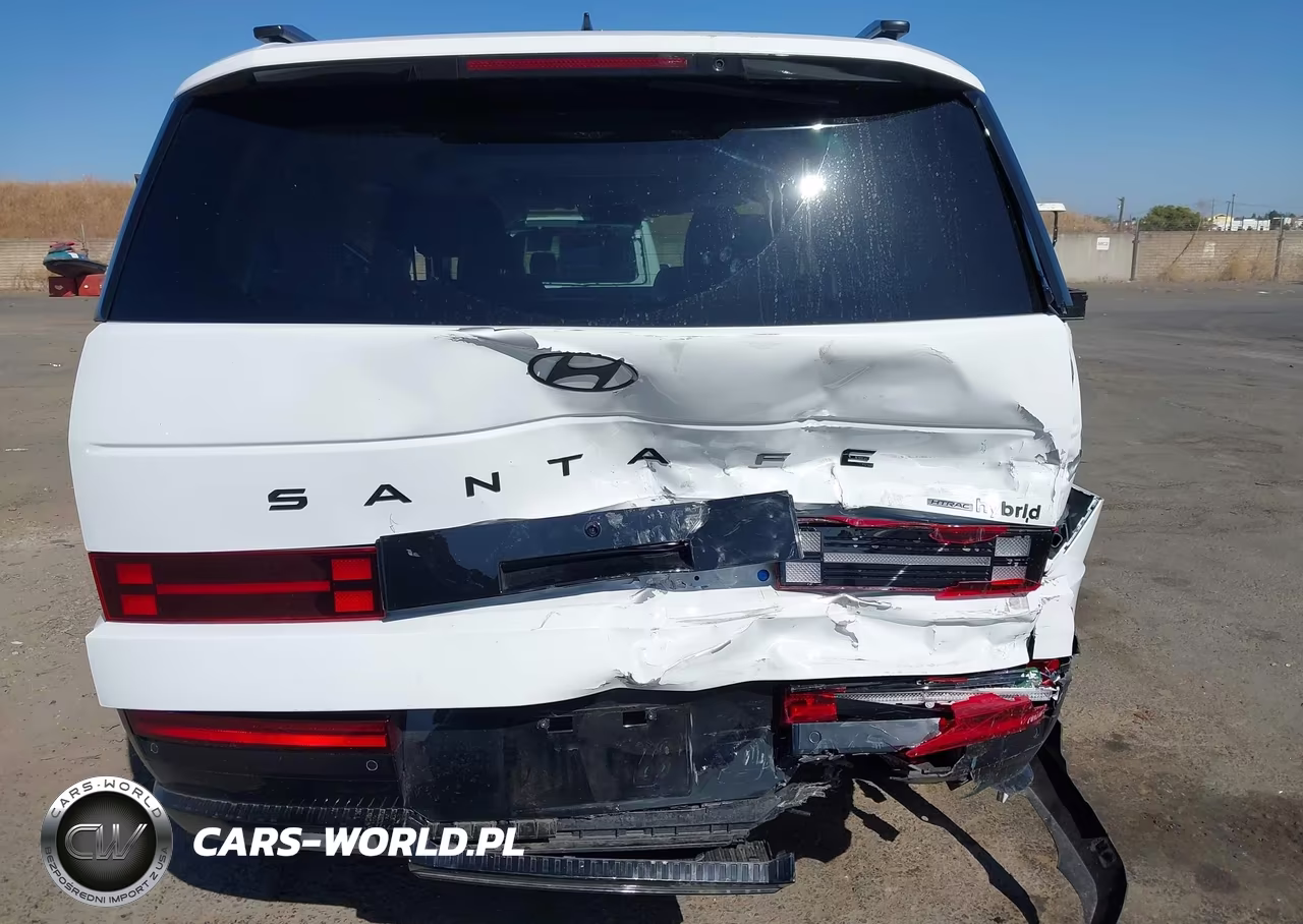 2025 Hyundai Santa Fe Hybrid Calligraphy VIN:5NMP5DG15SH062809 - 6