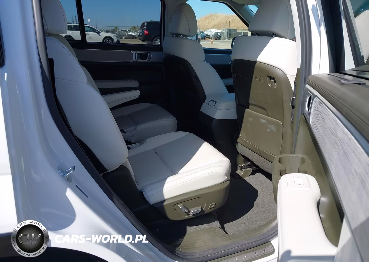 2025 Hyundai Santa Fe Hybrid Calligraphy VIN:5NMP5DG15SH062809 - 8