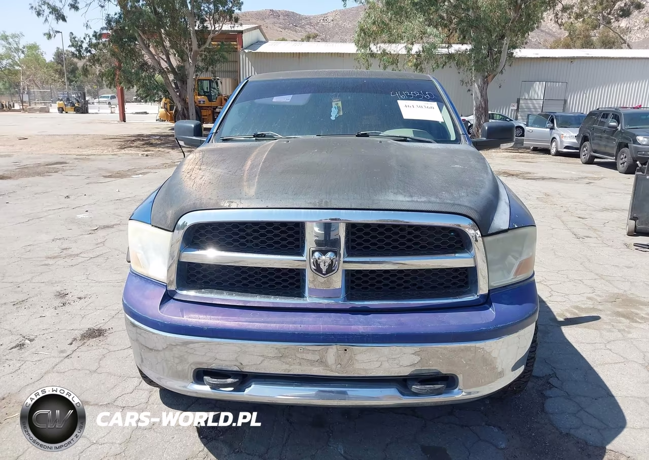 2010 Dodge Ram 1500 Slt VIN:1D7RV1CT1AS203172 - 12