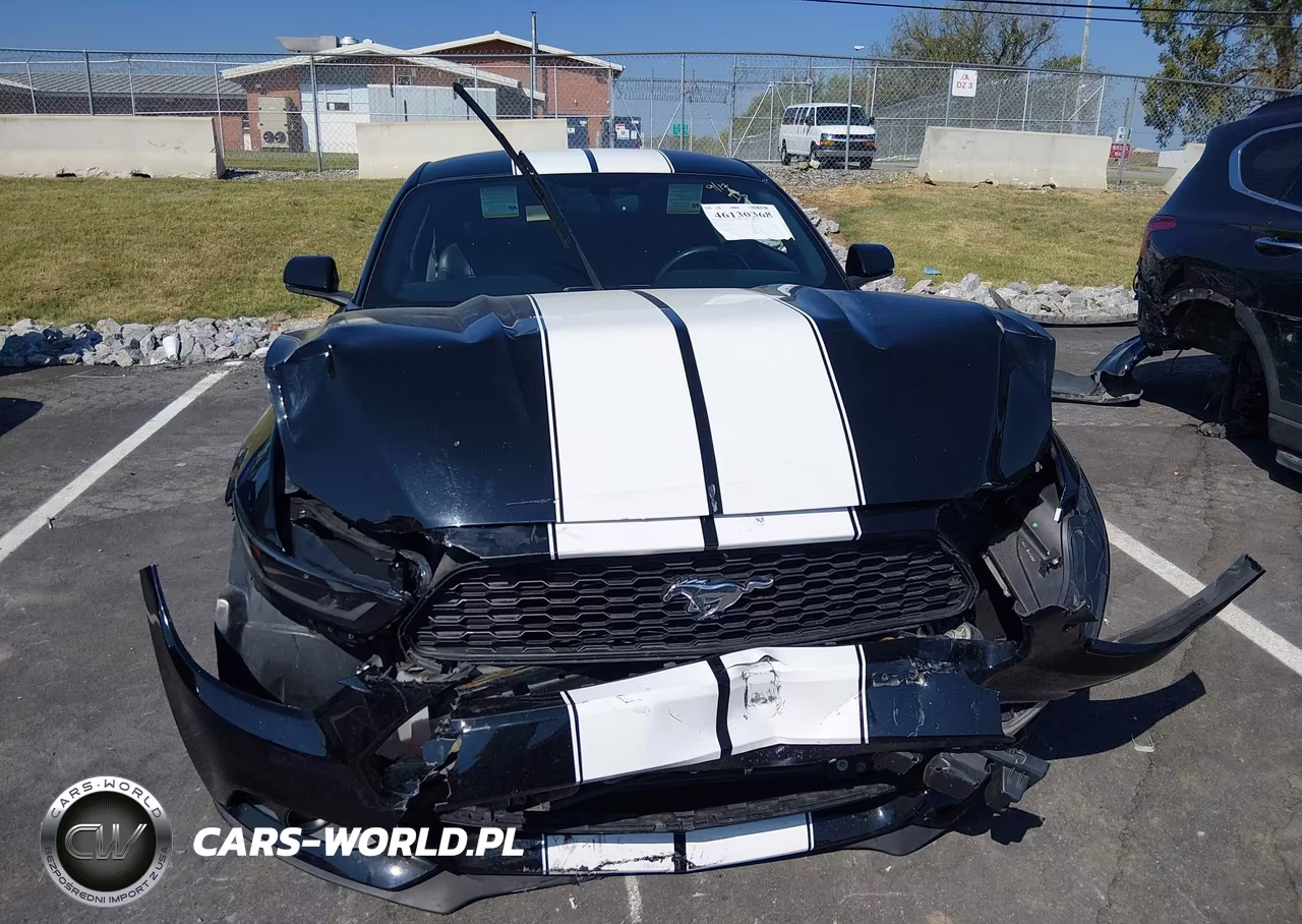 2016 Ford Mustang Ecoboost VIN:1FA6P8THXG5220478 - 12