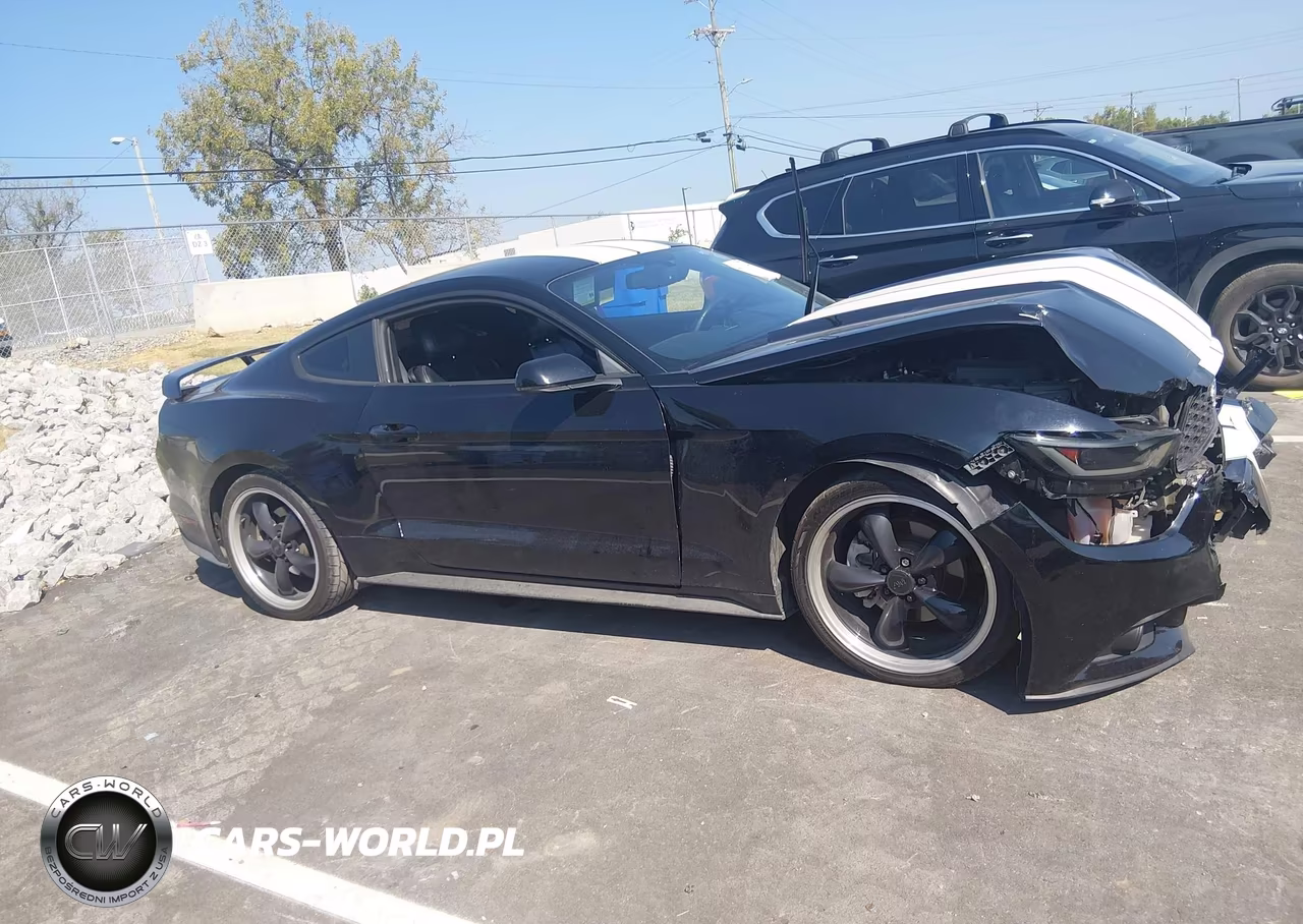2016 Ford Mustang Ecoboost VIN:1FA6P8THXG5220478 - 13