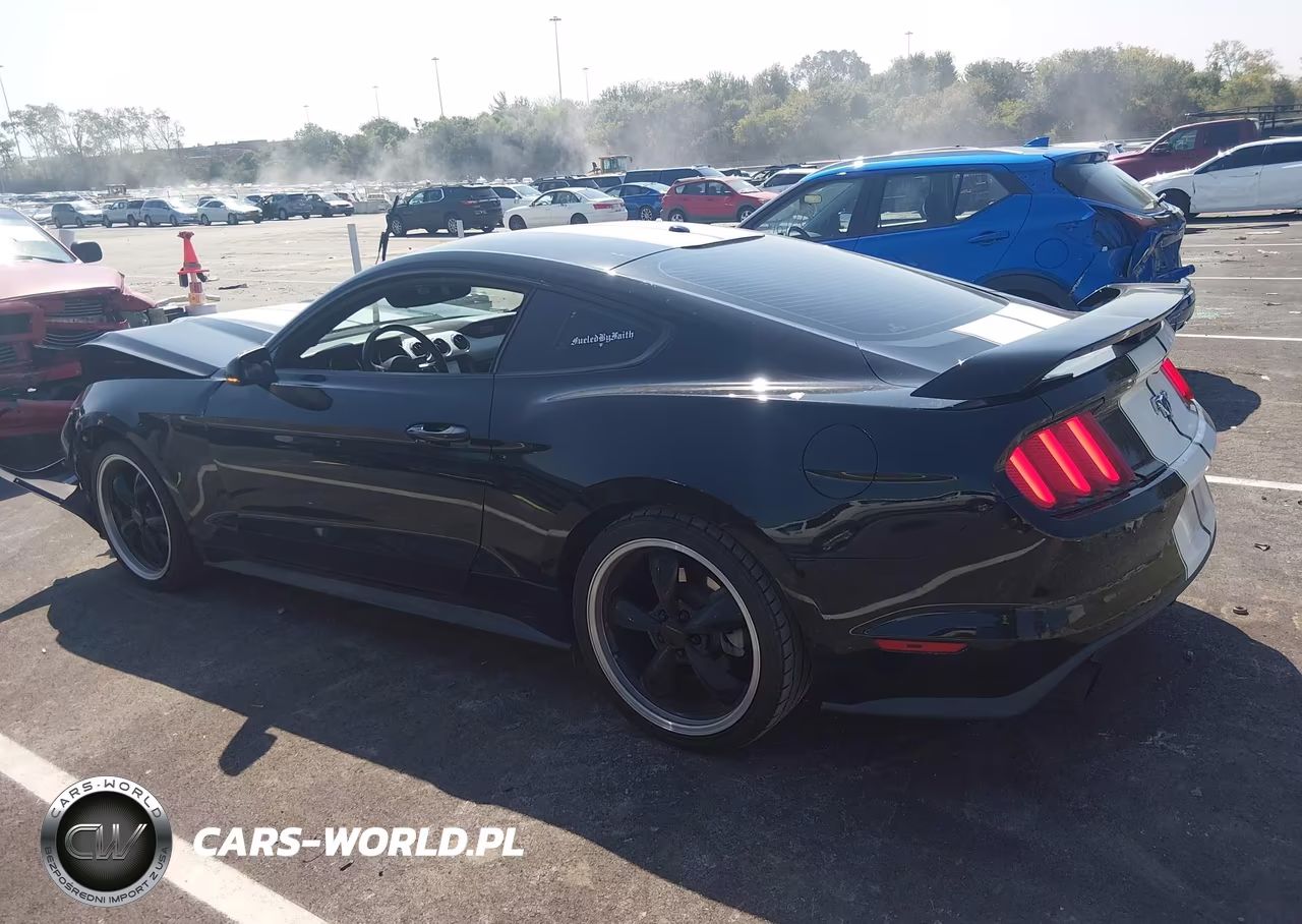 2016 Ford Mustang Ecoboost VIN:1FA6P8THXG5220478 - 14