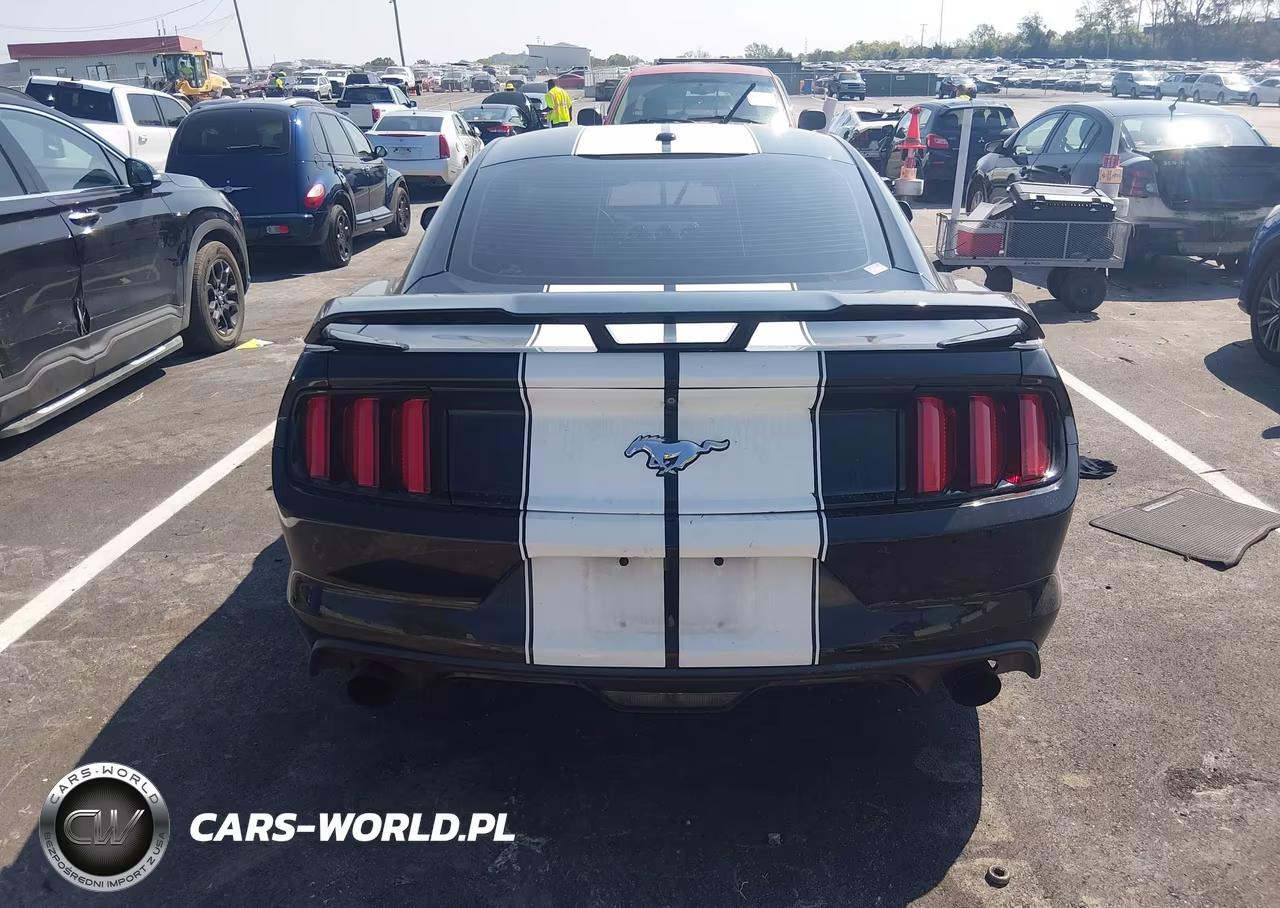 2016 Ford Mustang Ecoboost VIN:1FA6P8THXG5220478 - 16