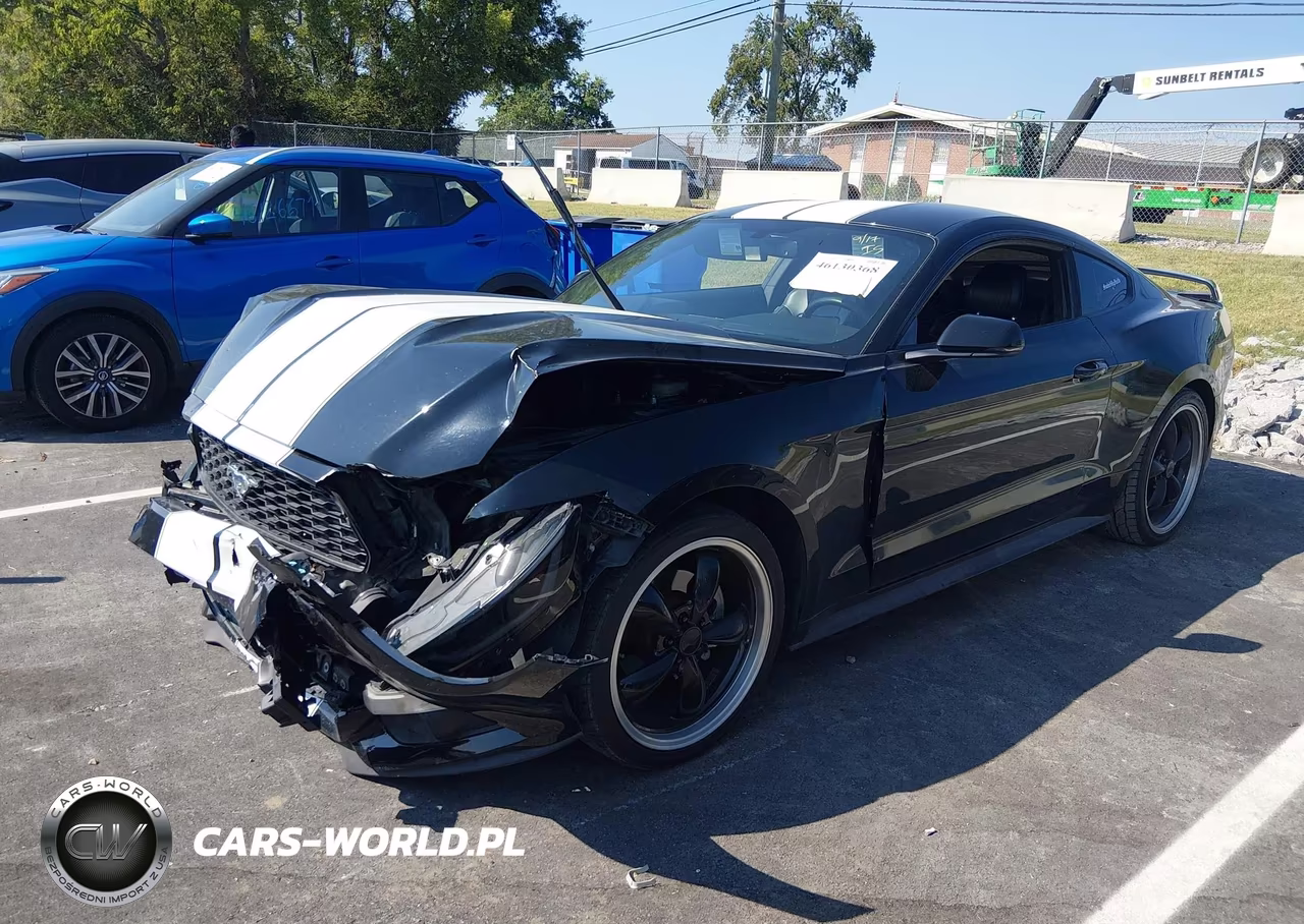 2016 Ford Mustang Ecoboost VIN:1FA6P8THXG5220478 - 2