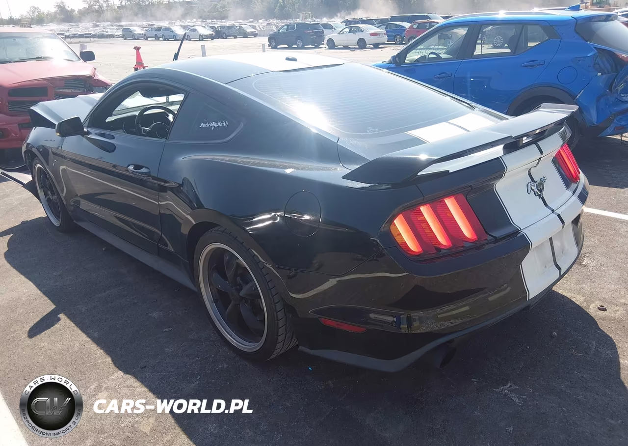 2016 Ford Mustang Ecoboost VIN:1FA6P8THXG5220478 - 3