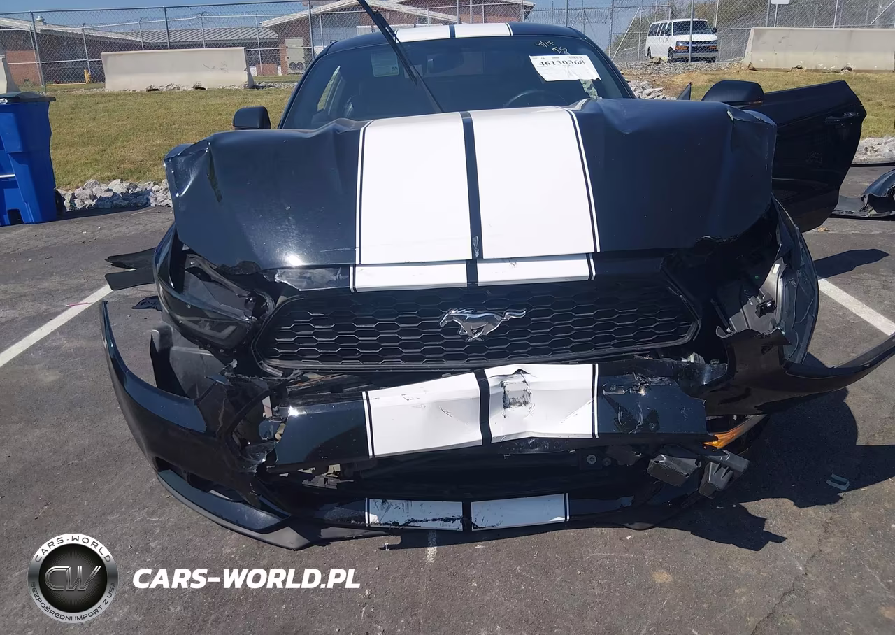 2016 Ford Mustang Ecoboost VIN:1FA6P8THXG5220478 - 6