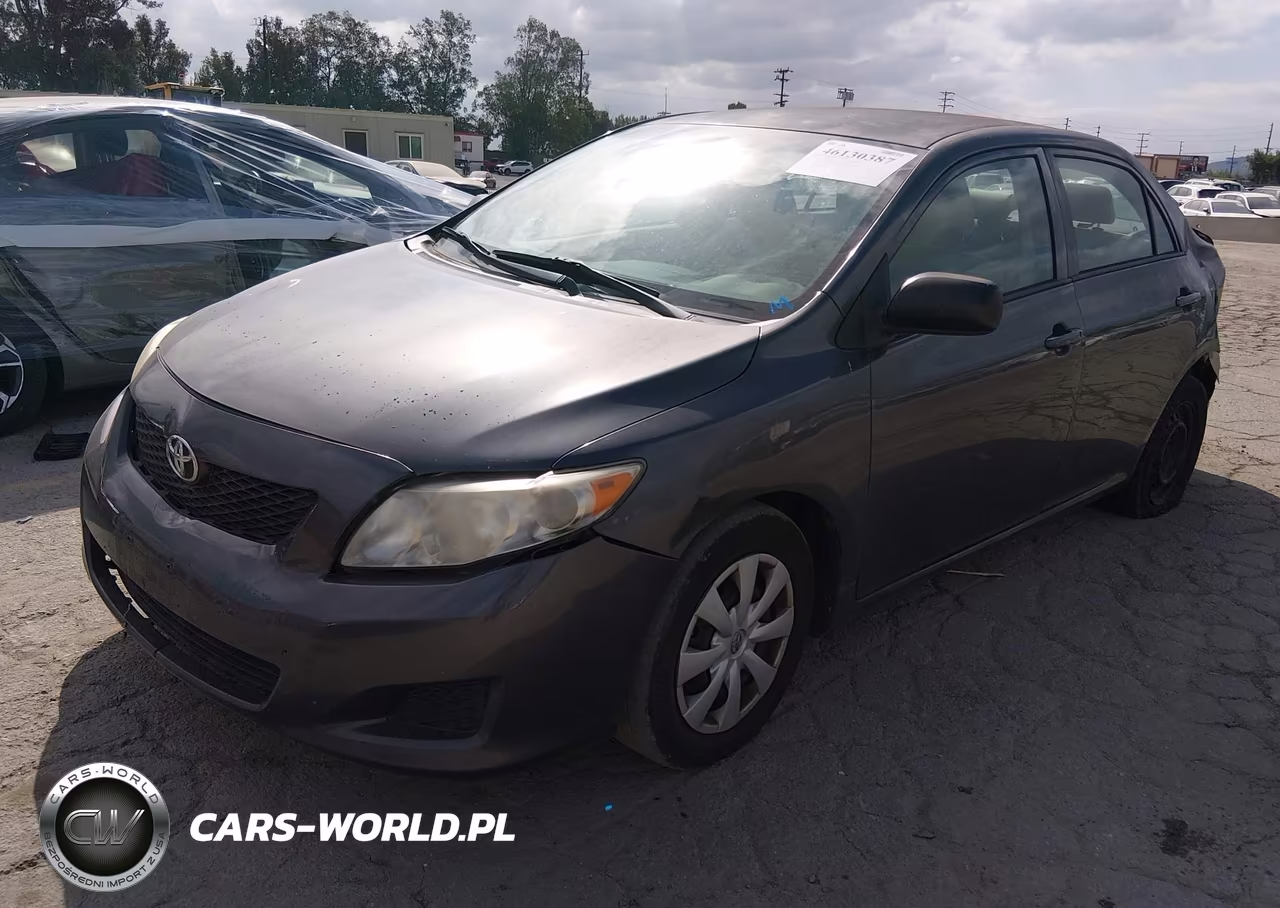 2010 Toyota Corolla VIN:2T1BU4EE5AC522557 - 2