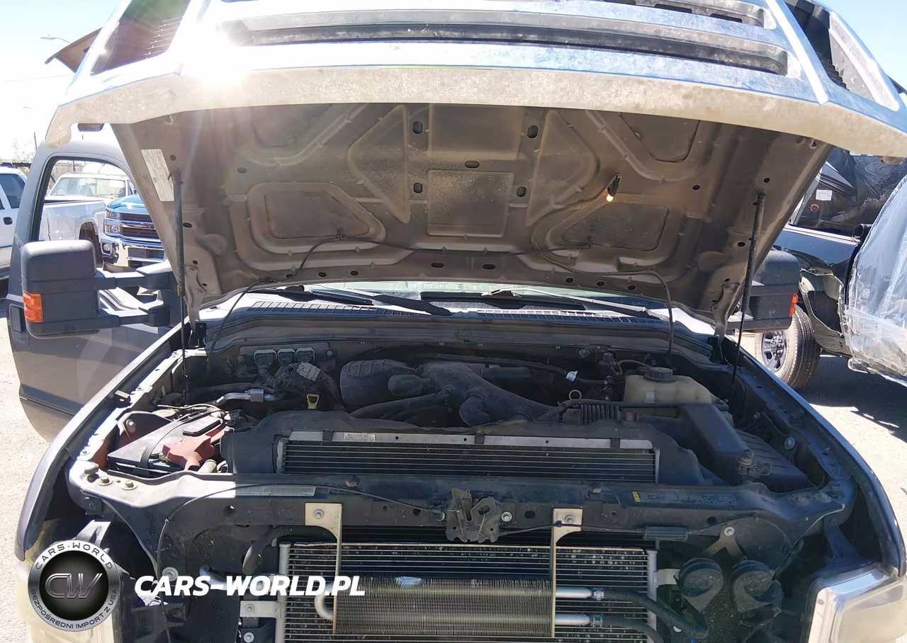 2009 Ford F-250 Fx4-Lariat-Xl-Xlt VIN:1FTSX21Y69EB18798 - 10