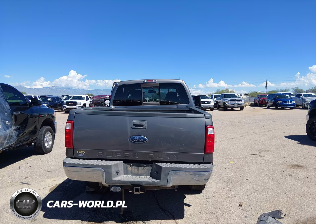 2009 Ford F-250 Fx4-Lariat-Xl-Xlt VIN:1FTSX21Y69EB18798 - 16