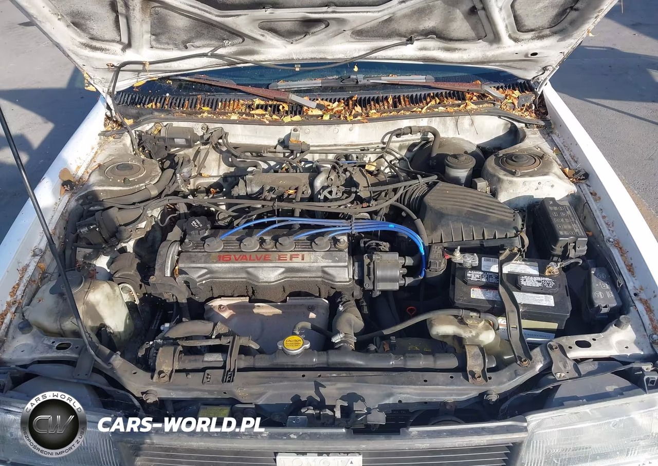 1990 Toyota Corolla Le VIN:1NXAE97A5LZ091896 - 10