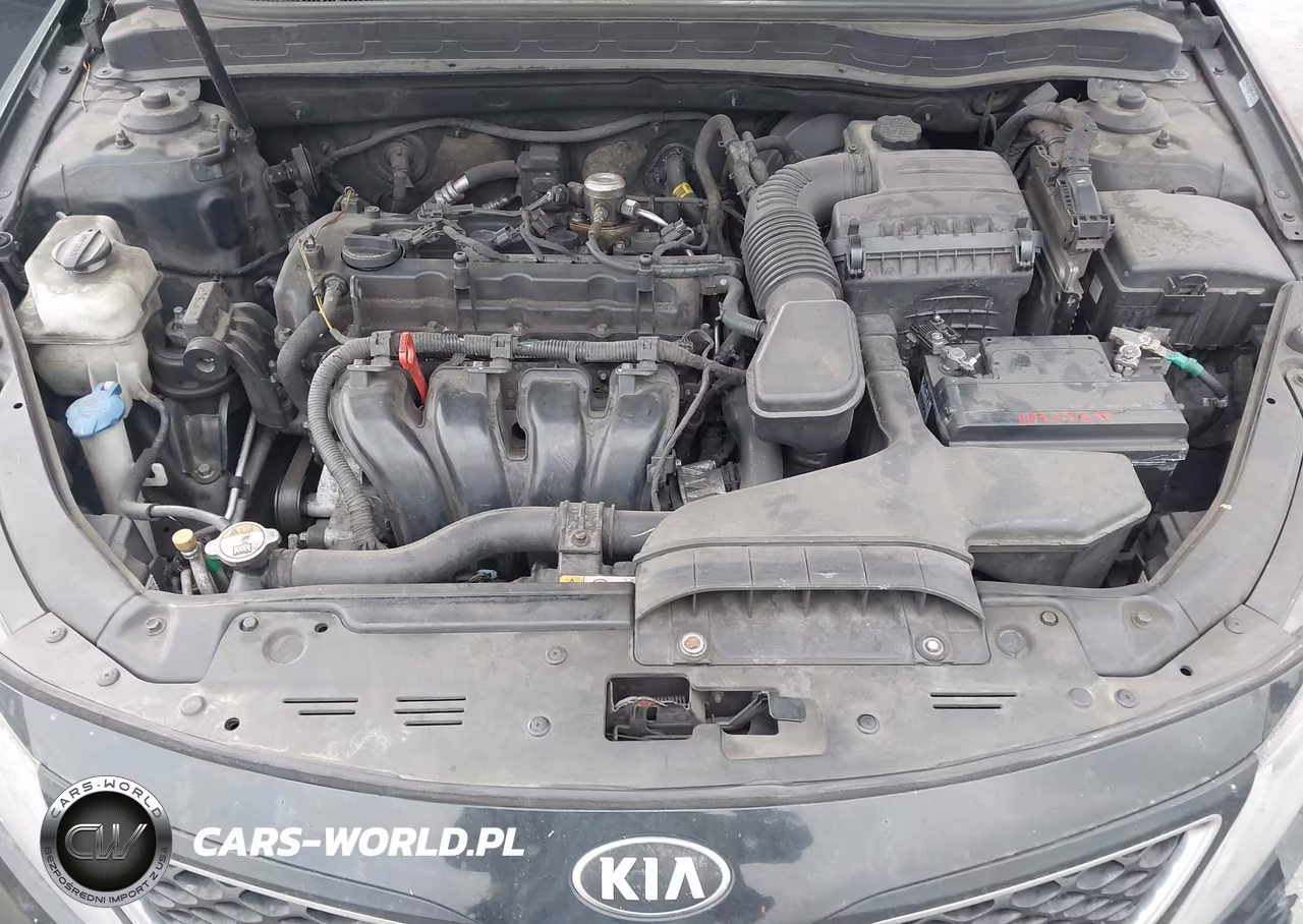 2014 Kia Optima Lx VIN:5XXGM4A79EG259968 - 10