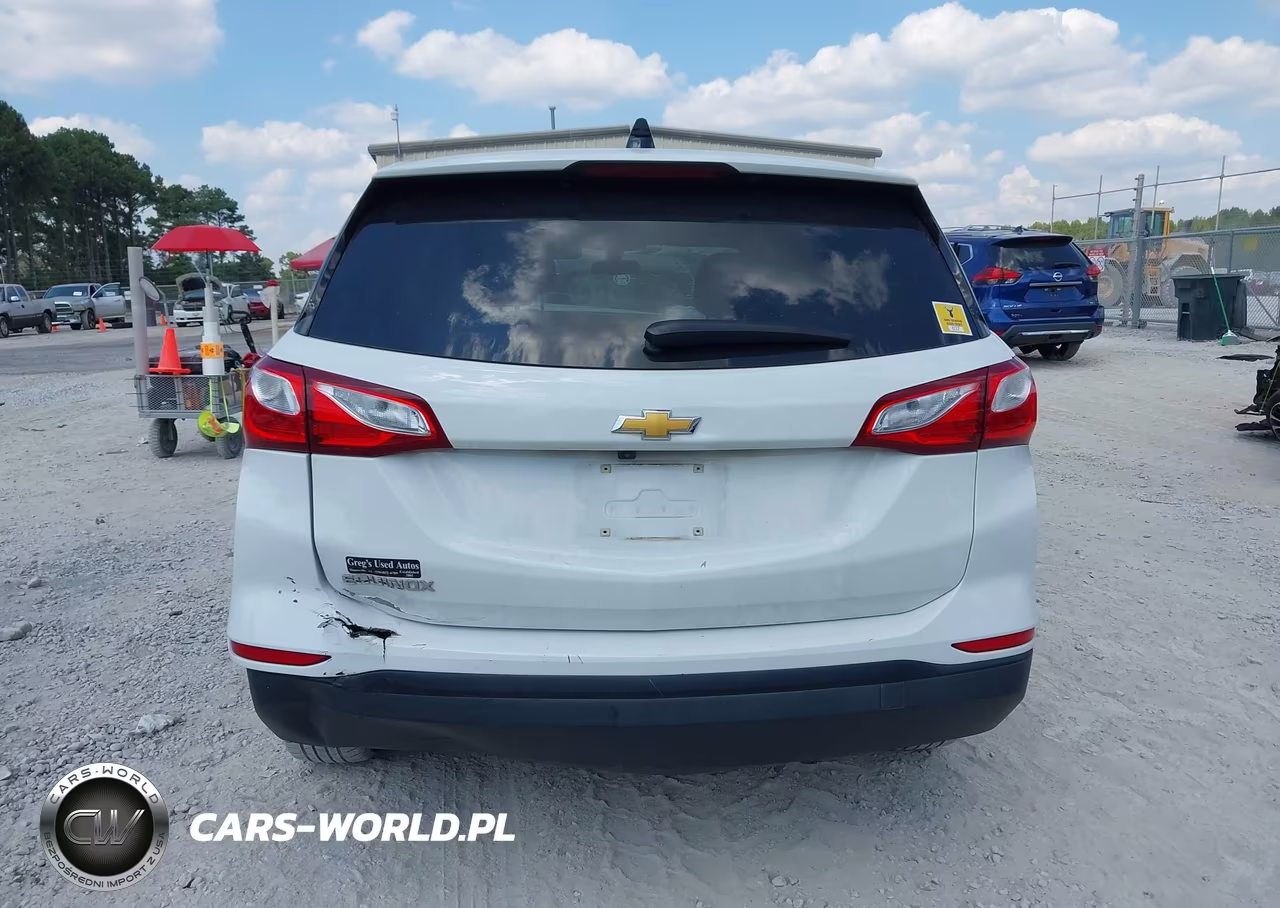 2019 Chevrolet Equinox Ls VIN:3GNAXHEV3KS550587 - 16