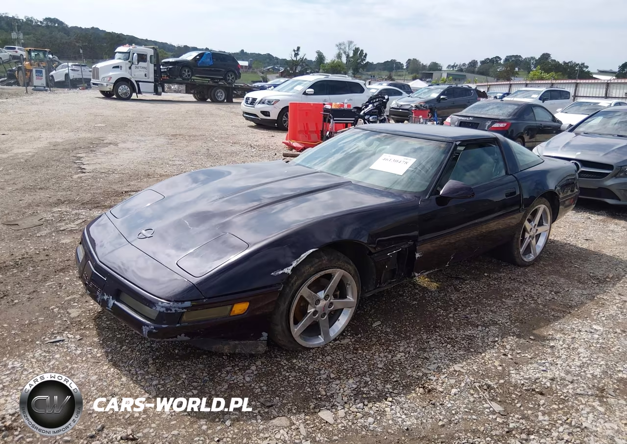 1992 Chevrolet Corvette VIN:1G1YY23P4N5101528 - 2