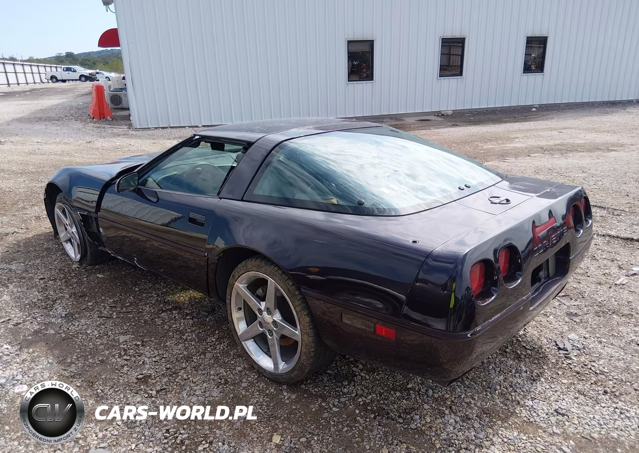 1992 Chevrolet Corvette VIN:1G1YY23P4N5101528 - 3