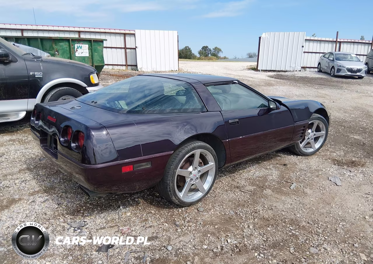 1992 Chevrolet Corvette VIN:1G1YY23P4N5101528 - 4