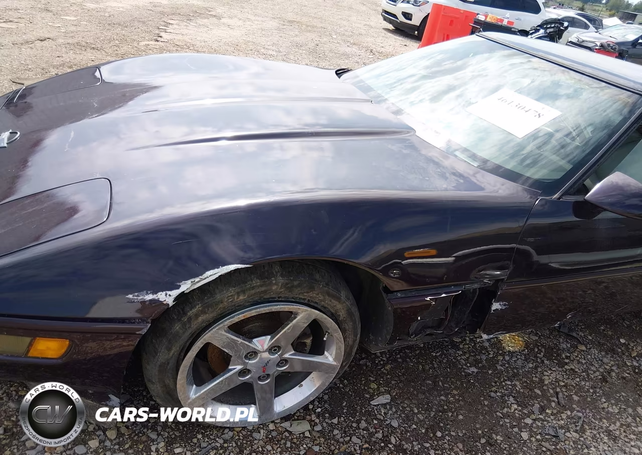 1992 Chevrolet Corvette VIN:1G1YY23P4N5101528 - 6